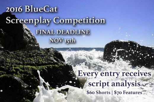 BlueCat Screenplay Competition