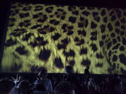 locarno festival