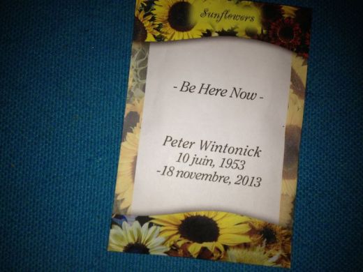 Sunflowers in Montreal Gardens Will Bloom for Peter Wintonick