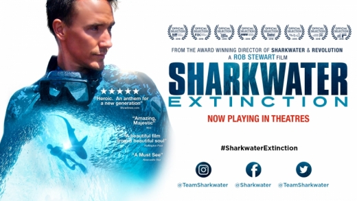 Sharkwater Extinction at BIFF 2018