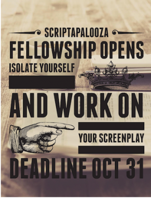 Scrptapalooza fellowship