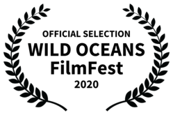 OFFICIALSELECTION-WILDOCEANSFilmFest-2020.png